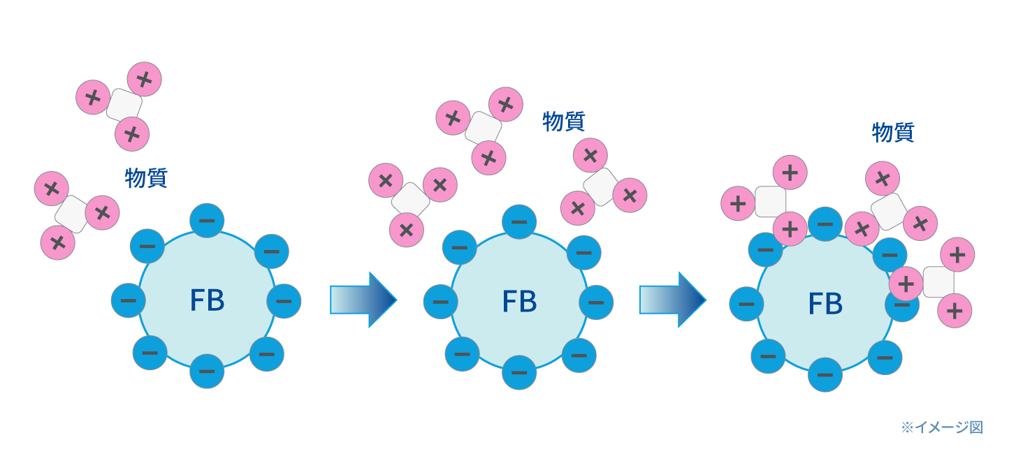 FB表面がマイナスに帯電することでの吸着性